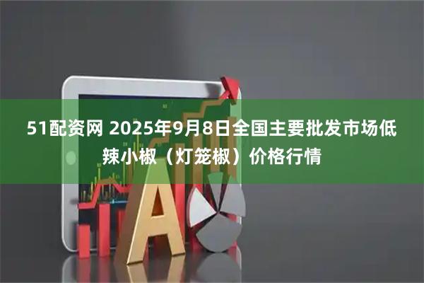 51配资网 2025年9月8日全国主要批发市场低辣小椒（灯笼椒）价格行情