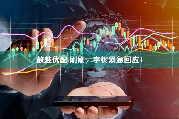数魅优配 刚刚，宇树紧急回应！