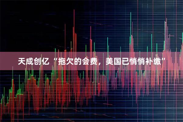 天成创亿 “拖欠的会费，美国已悄悄补缴”