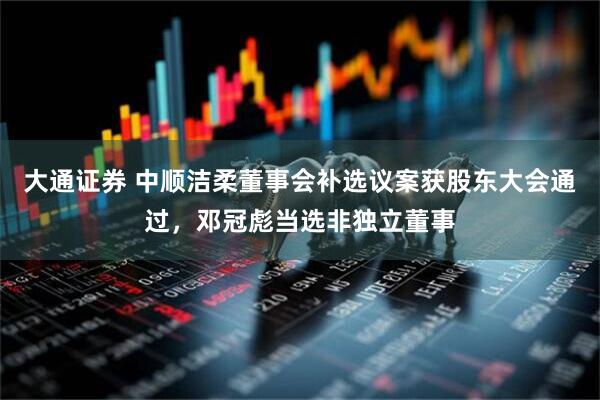 大通证券 中顺洁柔董事会补选议案获股东大会通过，邓冠彪当选非独立董事