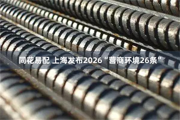 同花易配 上海发布2026“营商环境26条”