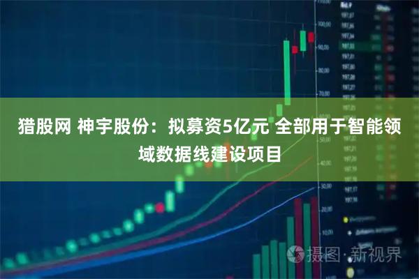 猎股网 神宇股份：拟募资5亿元 全部用于智能领域数据线建设项目
