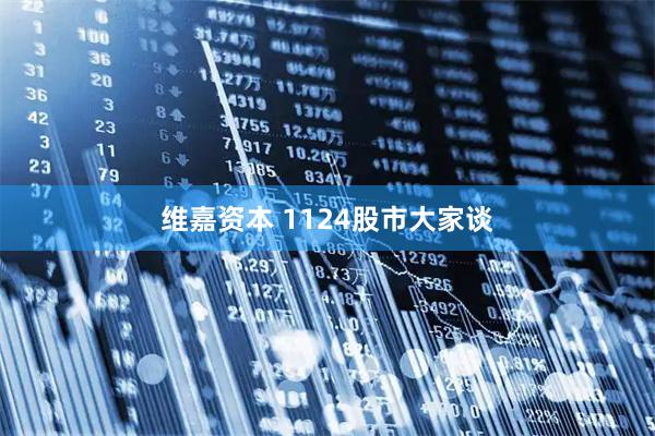 维嘉资本 1124股市大家谈